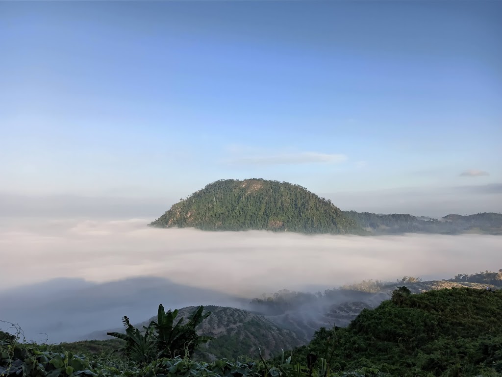 Menjelajah Gunung Embun (Saing Boga): Pesona Tersembunyi di Kalimantan Timur Menjelajah Gunung Embun (Saing Boga): Pesona Tersembunyi di Kalimantan Timur