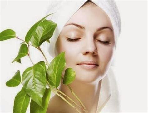 7 Rahasia Perawatan Muka Alami untuk Wajah Glowing Bebas Masalah! 7 Rahasia Perawatan Muka Alami untuk Wajah Glowing Bebas Masalah!