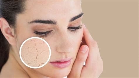 7 Perawatan Wajah Paling Bagus untuk Mendapatkan Kulit Mulus dan Sehat dalam 1 Minggu! 7 Perawatan Wajah Paling Bagus untuk Mendapatkan Kulit Mulus dan Sehat dalam 1 Minggu!